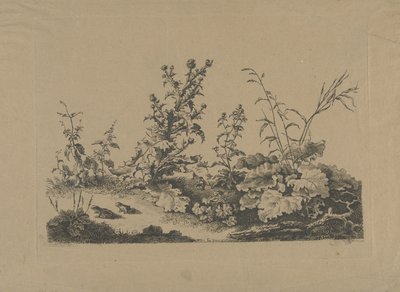 Estudio de paisaje con cardos y ranas de Philippe Cardon