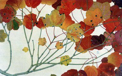 Hojas de Otoño, por Philippe Robert, ediciones Robert Ried de Philippe Robert