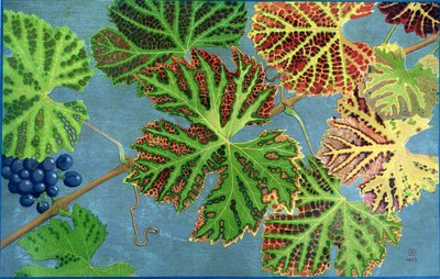 Feuilles d