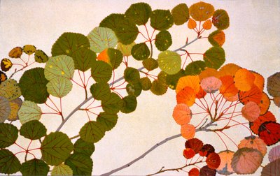 Populus tremula, o álamo temblón europeo, 1907-09 de Philippe Robert