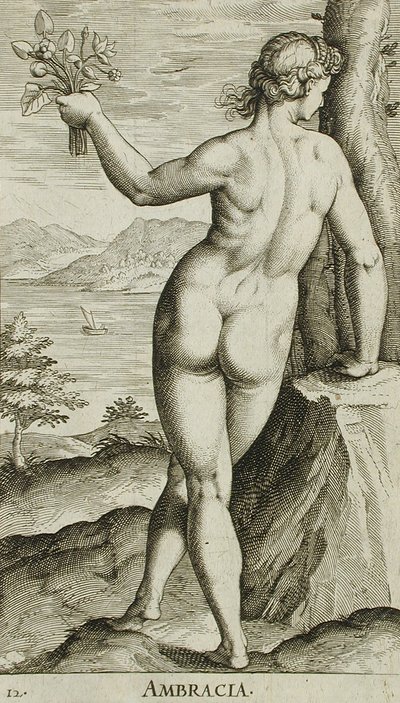  de Philips Galle