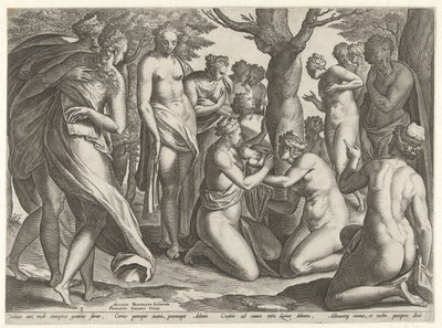 Nacimiento de Adonis La historia de Adonis (título de la serie) de Philips Galle