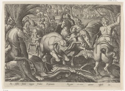 Jacht op olifante Jachttaferelen (título de la serie) En el que todo tipo de caza, caza de aves y pesca (título de la serie) de Philips Galle