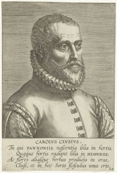  de Philips Galle