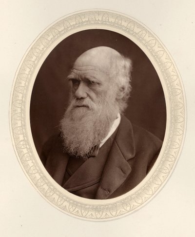 Retrato de Charles Darwin 1809-1882, 1877 de Photo studio Lock and Whitfield