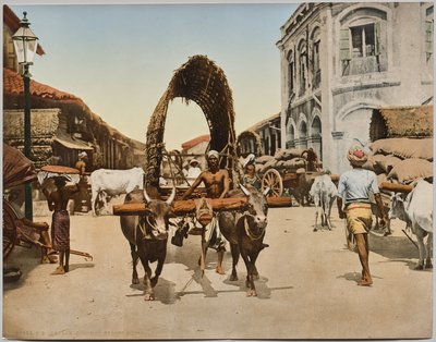 India. Ceilán. Colombo. Escena callejera, después de la foto del Dr. Kurt Boeck de Photoglob Co. (Zurich, active c. 1890 1910)