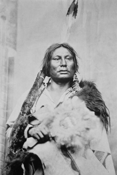 Jefe Gall (c.1840-94) de Photographer American