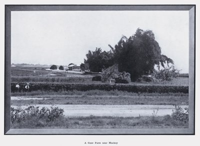 Una granja de caña cerca de Mackay de Photographer Australian