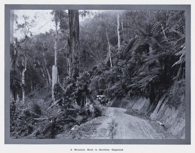 Una carretera de montaña en el sur de Gippsland de Photographer Australian