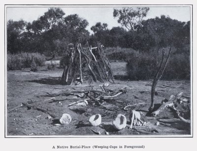 Un lugar de entierro nativo, gorros llorones en primer plano de Photographer Australian