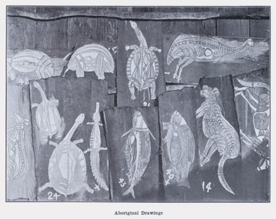 Dibujos aborígenes de Photographer Australian