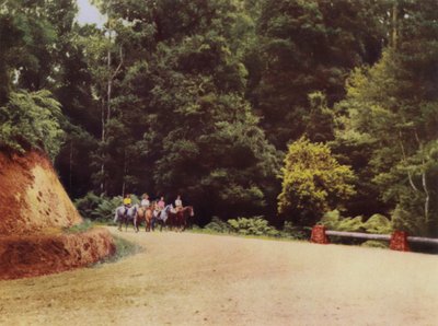 A lo largo de un camino de montaña (fotografía en color) de Photographer Australian