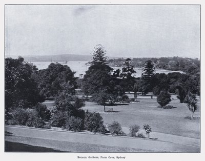 Jardines Botánicos, Farm Cove, Sídney de Photographer Australian