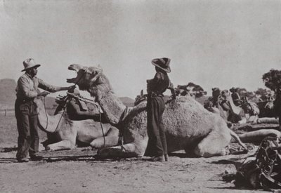 Equipos de camellos con aborígenes a cargo suministran puestos remotos en Australia Central de Photographer Australian