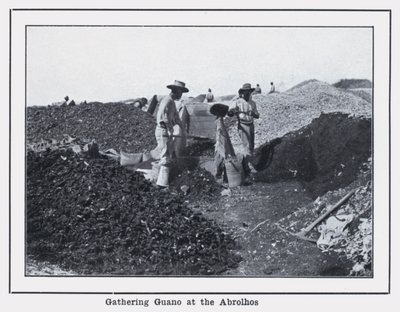 Recolección de guano en los Abrolhos de Photographer Australian