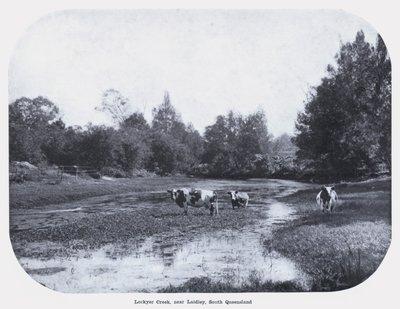 Lockyer Creek, cerca de Laidley, sur de Queensland de Photographer Australian