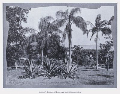 Residencia del gerente, Vivero Estatal de Kamerunga, Cairns (foto en b/n) de Photographer Australian