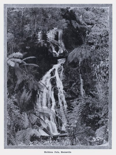 Cascadas Mathinna, Healesville de Photographer Australian