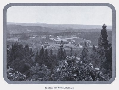 Piccadilly, desde Mount Lofty Ranges de Photographer Australian