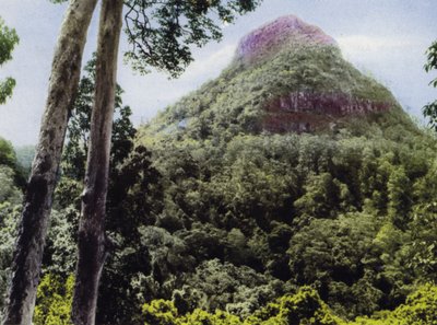 Queensland, Australia: Monte Cordeaux de Photographer Australian