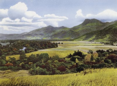 Queensland, Australia: Tierras de Azúcar en Mossman de Photographer Australian