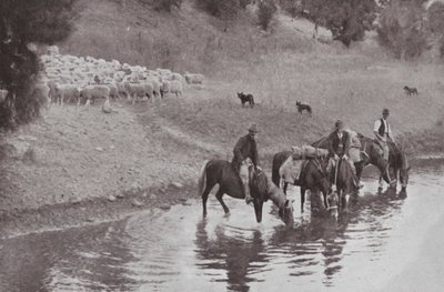 El Descanso, Típicos Vaqueros Australianos de Photographer Australian