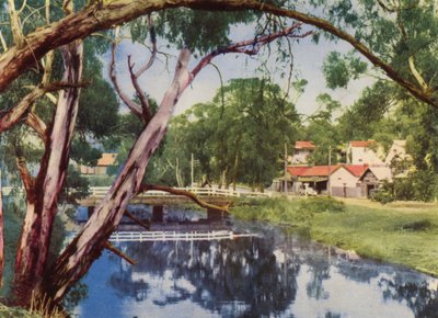 La Corriente Tranquila (foto a color) de Photographer Australian