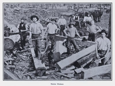 Trabajadores de la madera de Photographer Australian