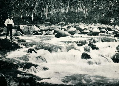 Rápidos de truchas en el río Snowy, Jindabyne, Nueva Gales del Sur, c.1900, de 