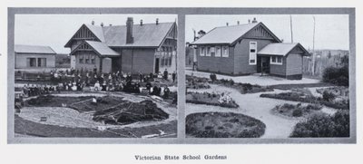 Jardines de la Escuela Estatal de Victoria de Photographer Australian