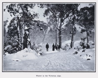 Invierno en los Alpes Victorianos de Photographer Australian