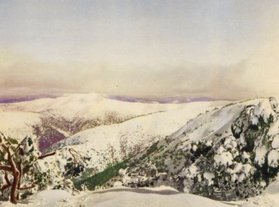 Invierno en los Alpes victorianos (foto a color) de Photographer Australian