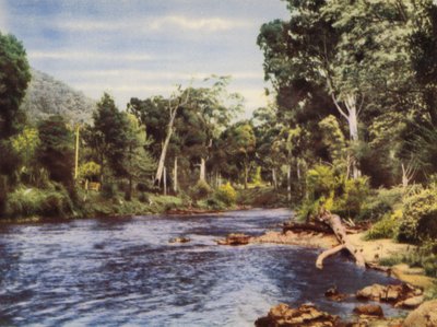 Río Yarra (foto en color) de Photographer Australian
