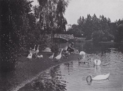 Lago, Beacon Hill Park, Victoria, Columbia Británica de Photographer Canadian