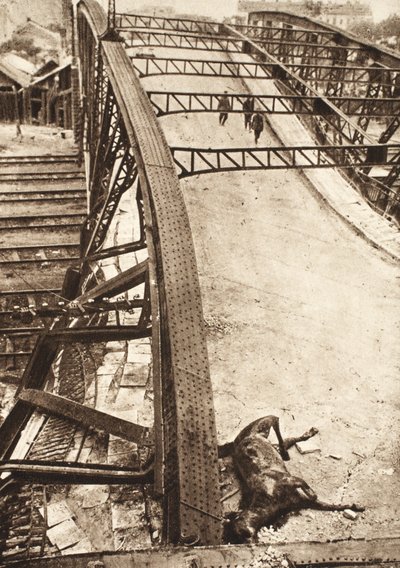 Ruptura de los ejércitos aliados en Galicia Oriental: pasarela sobre el ferrocarril destruida por los rusos en Ternopil (foto en b/n) de Photographer German