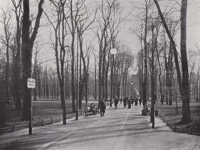 En el Tiergarten, Ahornsteig de Photographer German