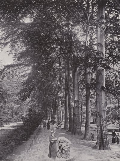 Im Tiergarten, Un Camino Sombrío de Photographer German