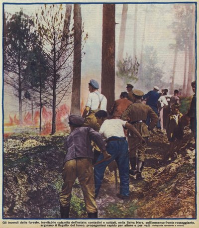 Campesinos y soldados combatiendo un incendio forestal en la Selva Negra, Alemania de Photographer German