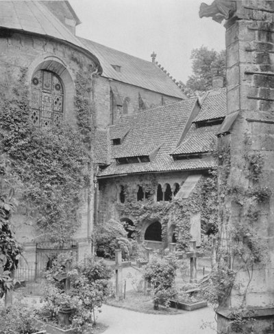 Rosenstock de mil años de Photographer German