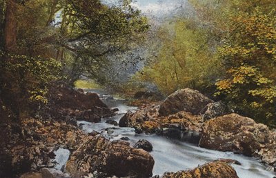 Irlanda: In The Dargle, County Wicklow (foto a color) de Photographer Irish