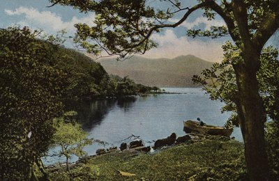Irlanda del Sur: En Innisfallen, Killarney (foto a color) de Photographer Irish