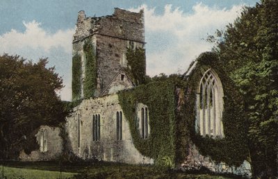 Irlanda del Sur: Abadía de Muckross, Killarney (foto a color) de Photographer Irish