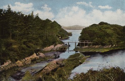 Irlanda del Sur: Parknasilla, Condado de Kerry (foto a color) de Photographer Irish