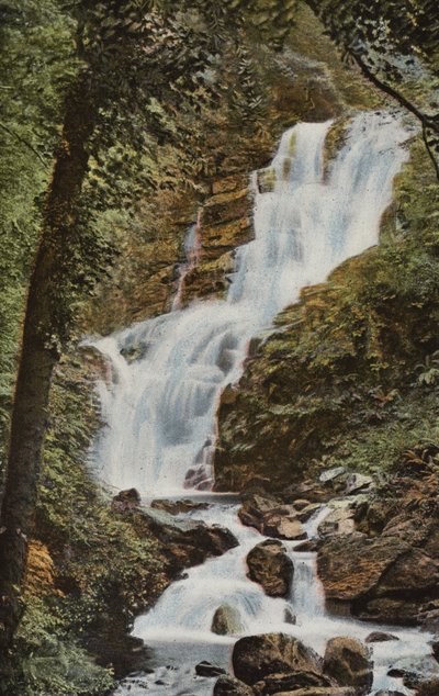 Irlanda del Sur: Torc Cascade, Killarney (foto a color) de Photographer Irish
