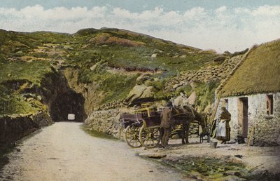 Irlanda del Sur: túnel cerca de Glengarriff, condado de Cork (foto a color) de Photographer Irish