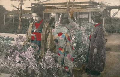 Mujeres japonesas con plantas de glicina (foto a color) de Photographer Japanese