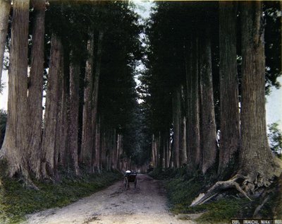Rickshaw en un camino arbolado en Nikko, c.1900 de Photographer Japanese
