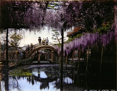 Glicinas en un jardín en Kameido, c.1900 de Photographer Japanese