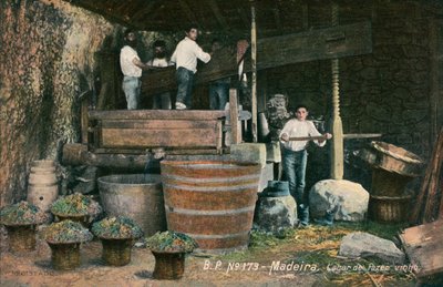 Prensa de vino, Madeira, Portugal (foto b/n) de Photographer Portuguese