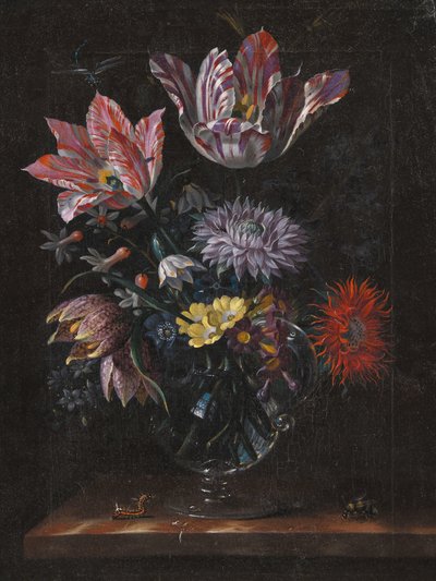 Desconocido, por Jacob Marrel de Pictufy